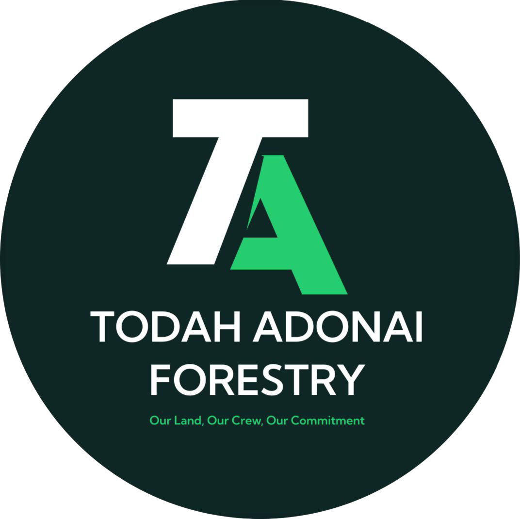 IMG-20251120-WA0006 (1)